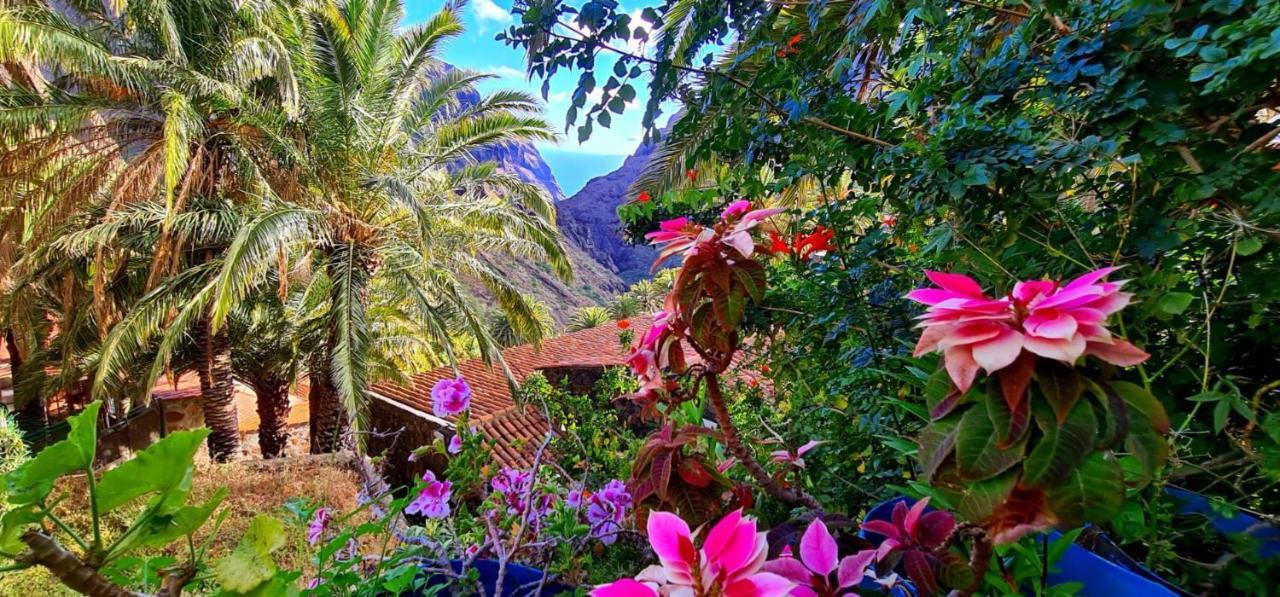 Paradise Tenerife San Miguel de Abona Exteriér fotografie